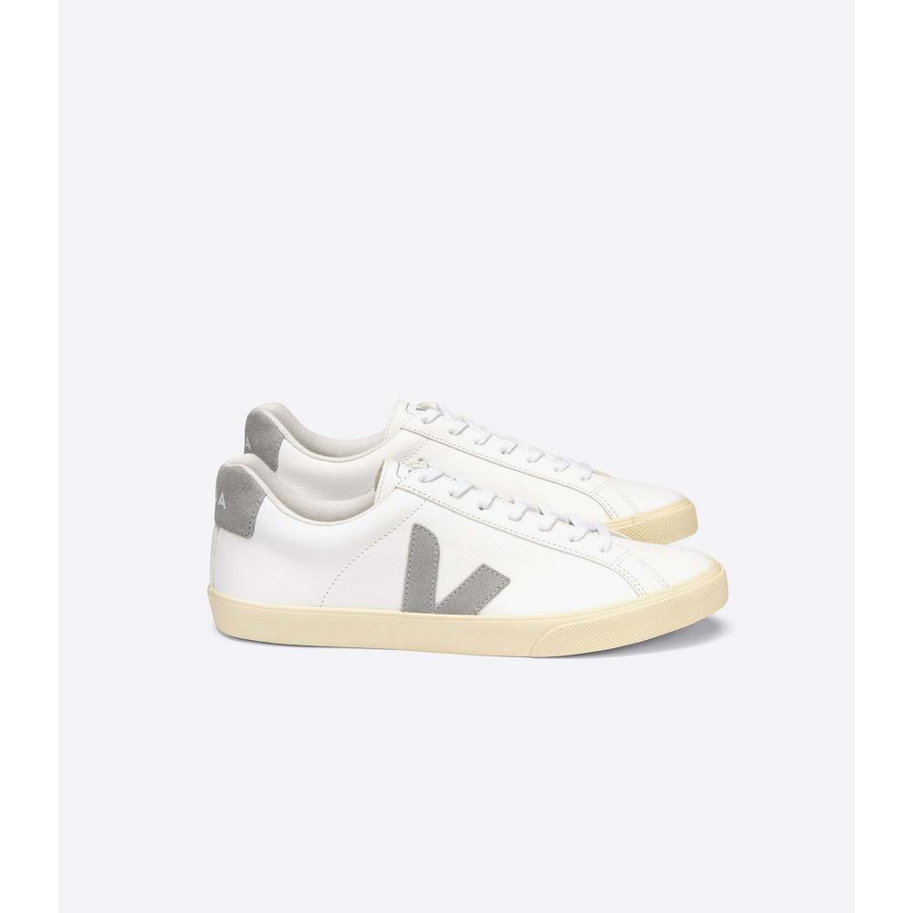 Women\'s Veja ESPLAR CHROMEFREE Sneakers White/Grey | SG 611MQZ